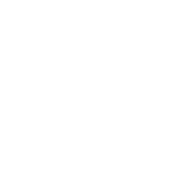Selo SGX Data